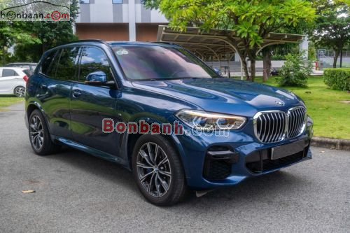 BMW X5 xDrive40i M Sport 2022 - ảnh 2