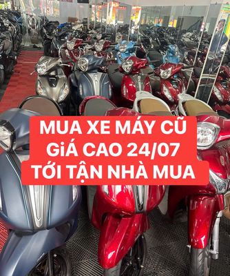 Mua xe 2024 - ảnh 1
