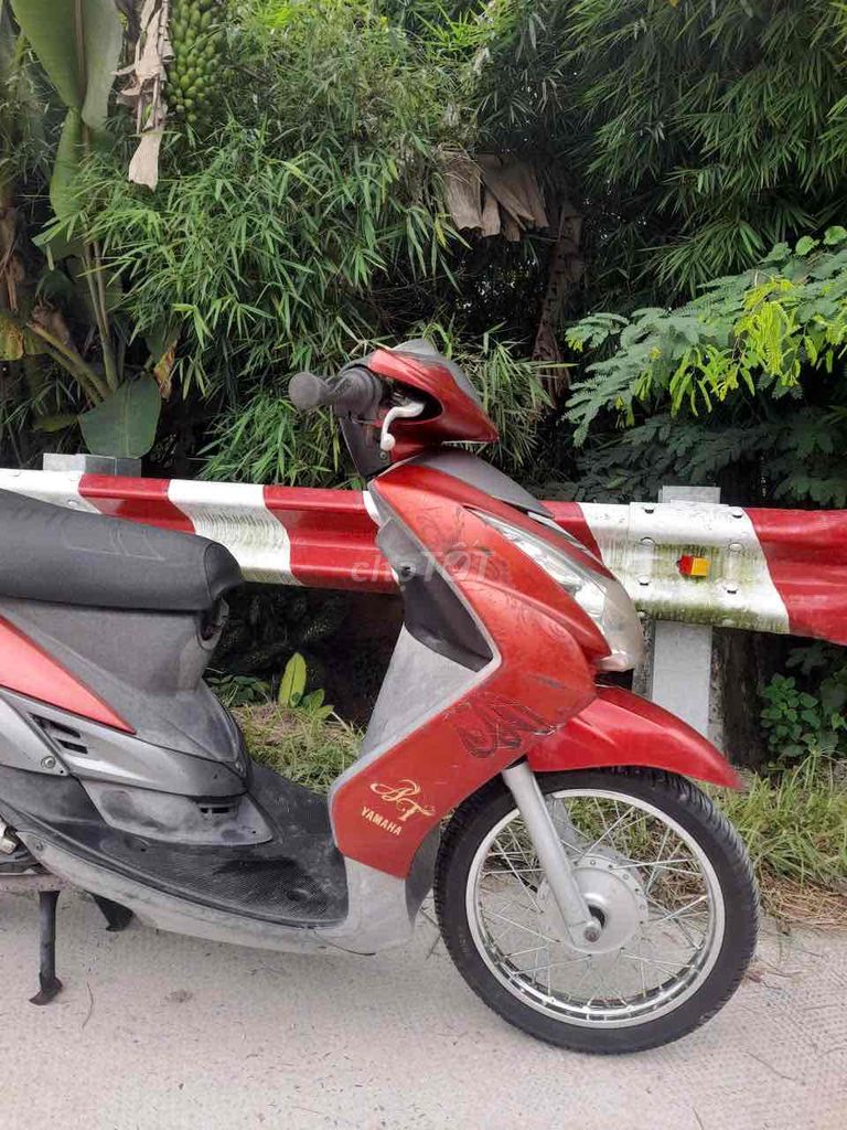 Xe tay 2010 - ảnh 2
