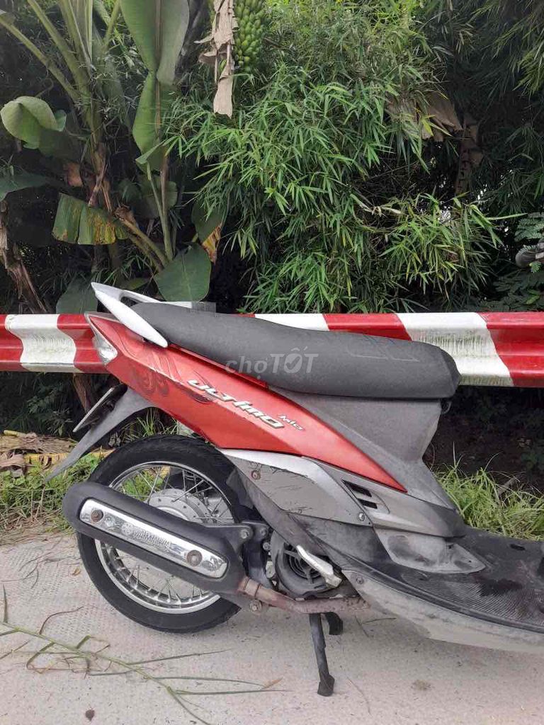 Xe tay 2010 - ảnh 3