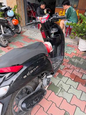 Honda Scoopy 2019 - ảnh 1