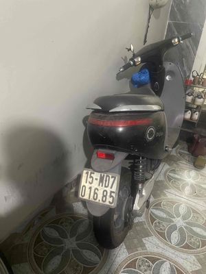 Xe 2023 - ảnh 1