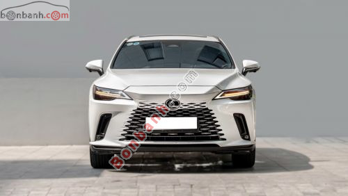 Lexus RX 350 Premium 2024 - ảnh 2