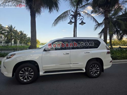 Lexus GX 460 2015 - ảnh 3