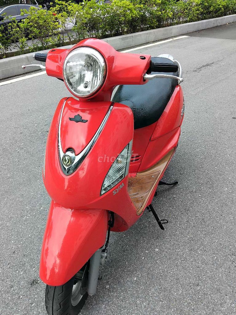 xe Elizabeth 2012 - ảnh 3