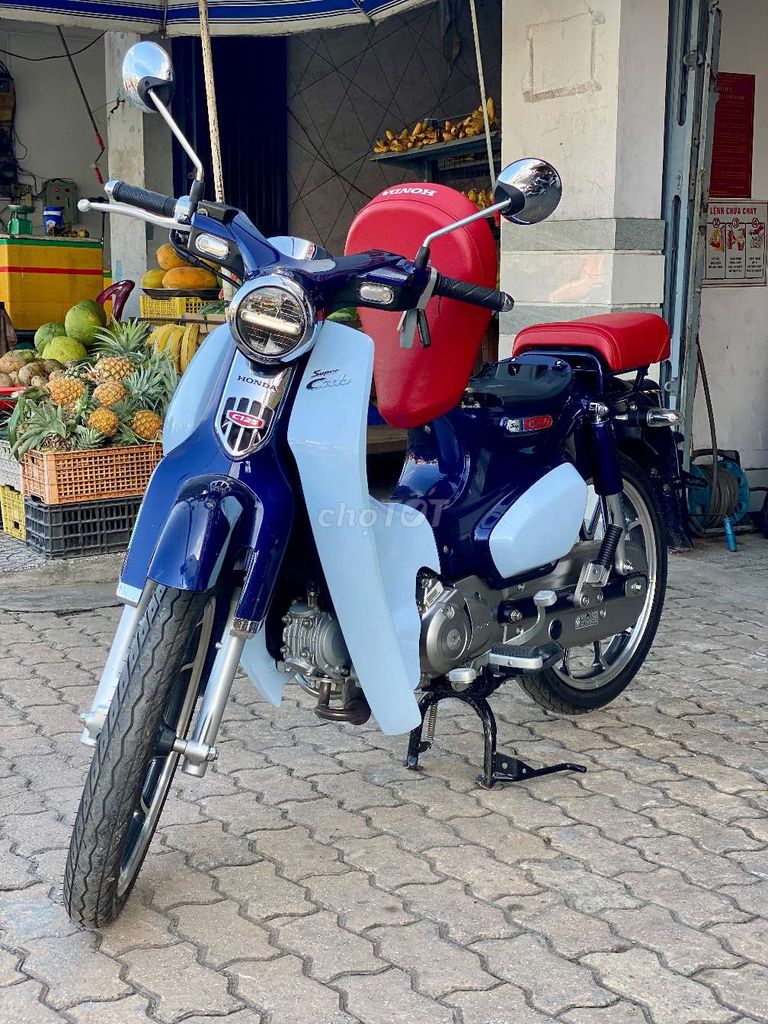 SUPER CUB 2022 - ảnh 1