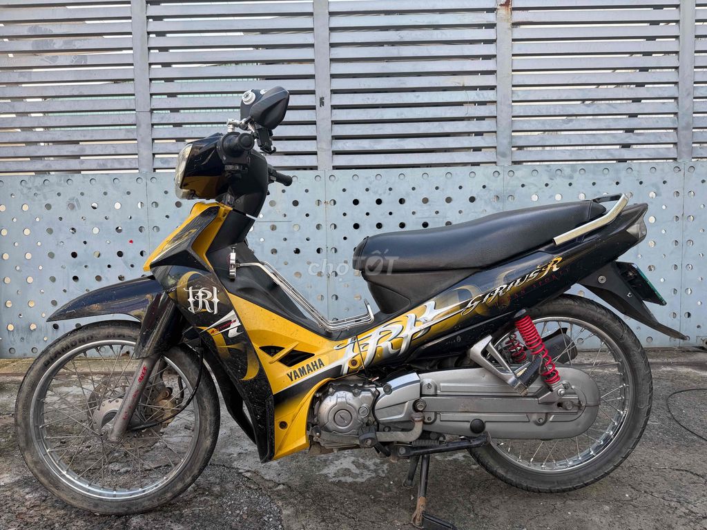 Cầm 2012 - ảnh 1