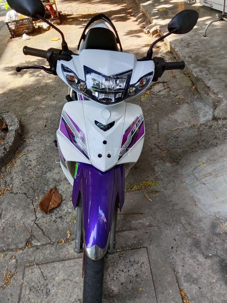 Sirius 2019 - ảnh 1