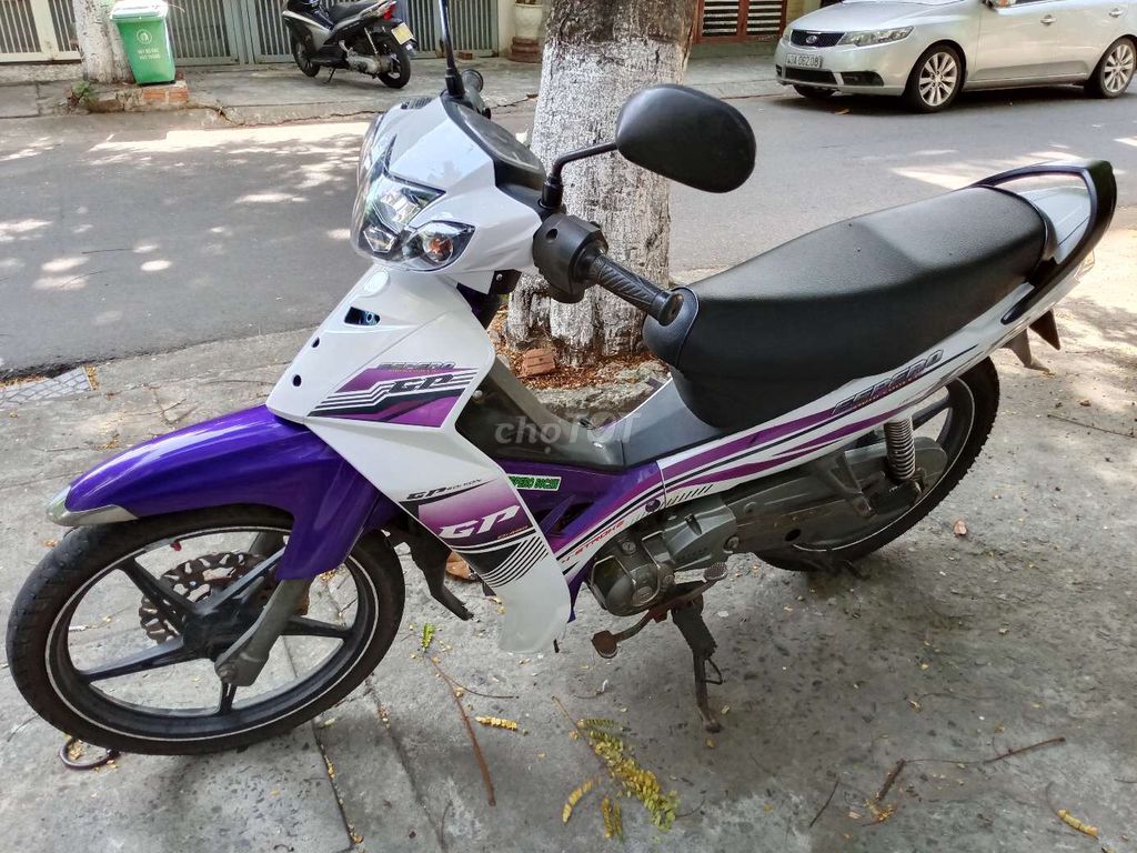 Sirius 2019 - ảnh 3