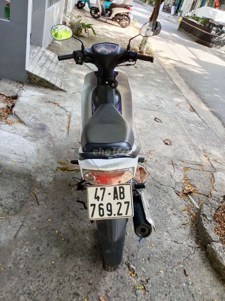 Sirius 2019 - ảnh 4