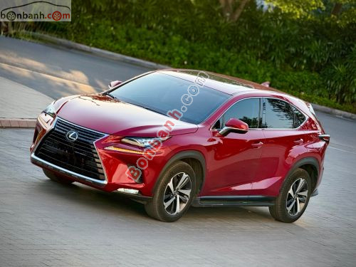 Lexus NX 300 2019 - ảnh 1