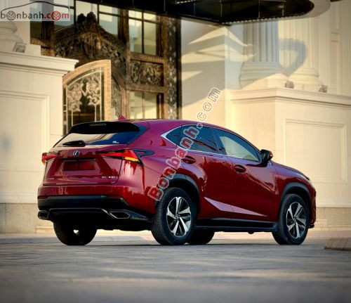 Lexus NX 300 2019 - ảnh 2