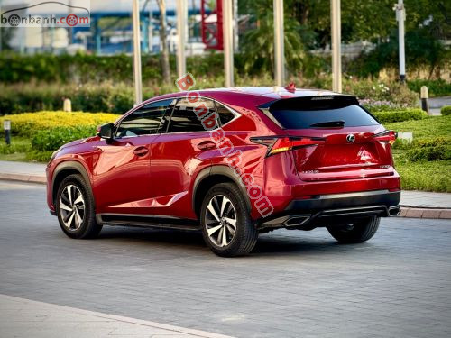 Lexus NX 300 2019 - ảnh 3