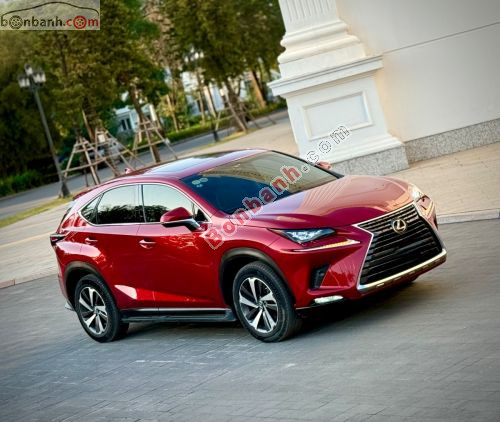Lexus NX 300 2019 - ảnh 4