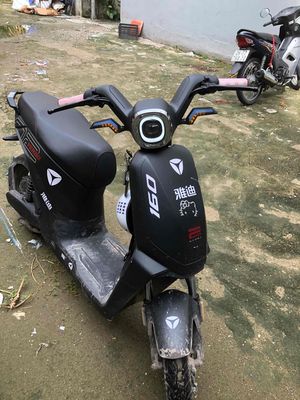 Bán xe 2025 - ảnh 1