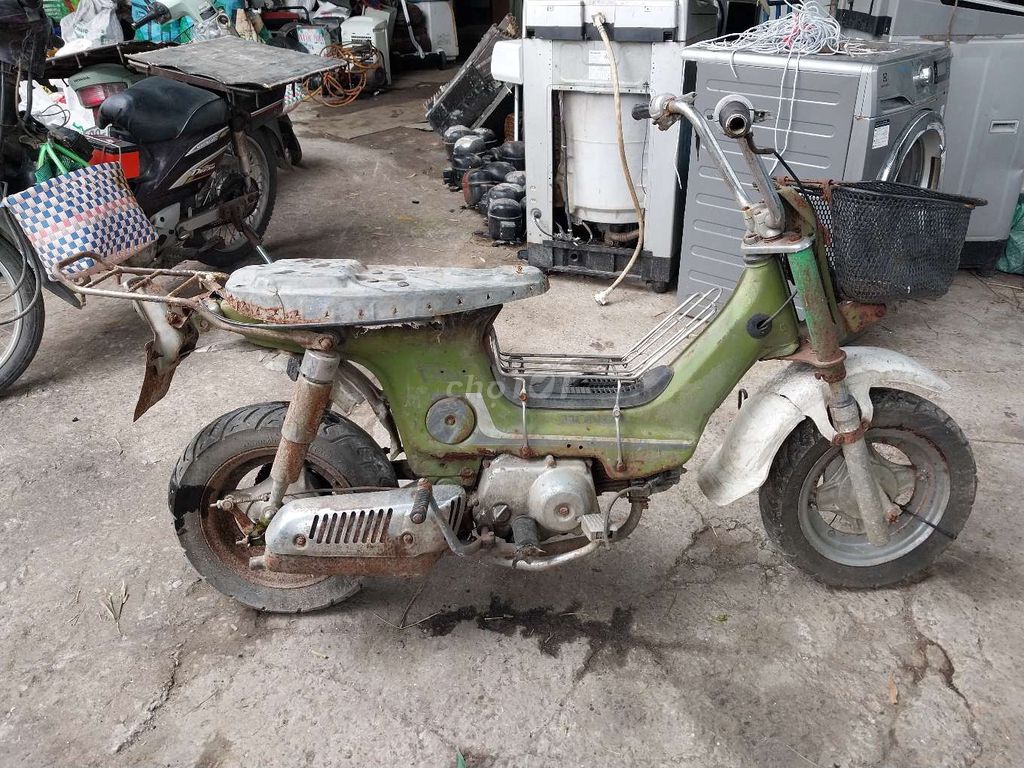 Honda Chaly 1998 - ảnh 2