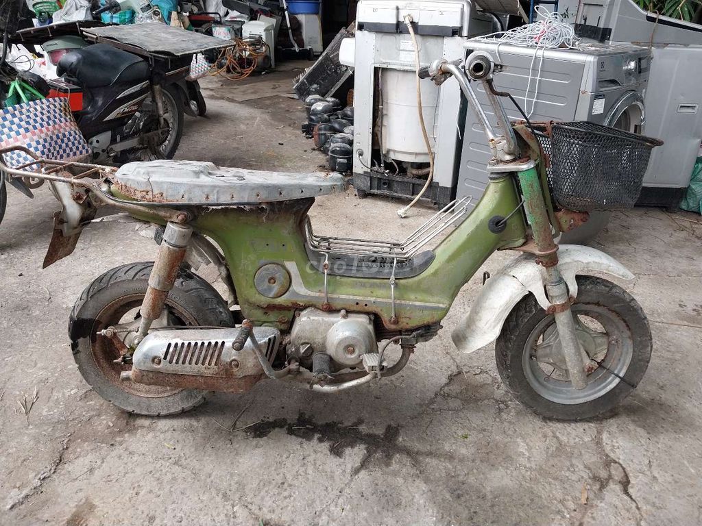 Honda Chaly 1998 - ảnh 3