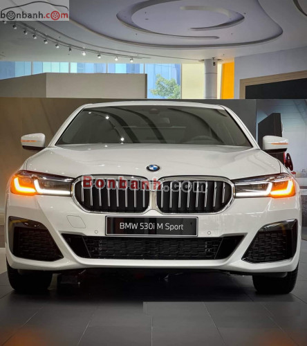 BMW 5 Series 530i M Sport 2022 - ảnh 1
