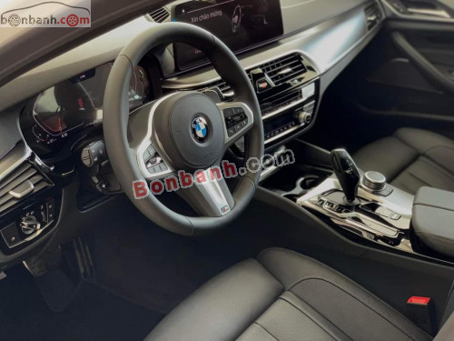 BMW 5 Series 530i M Sport 2022 - ảnh 4