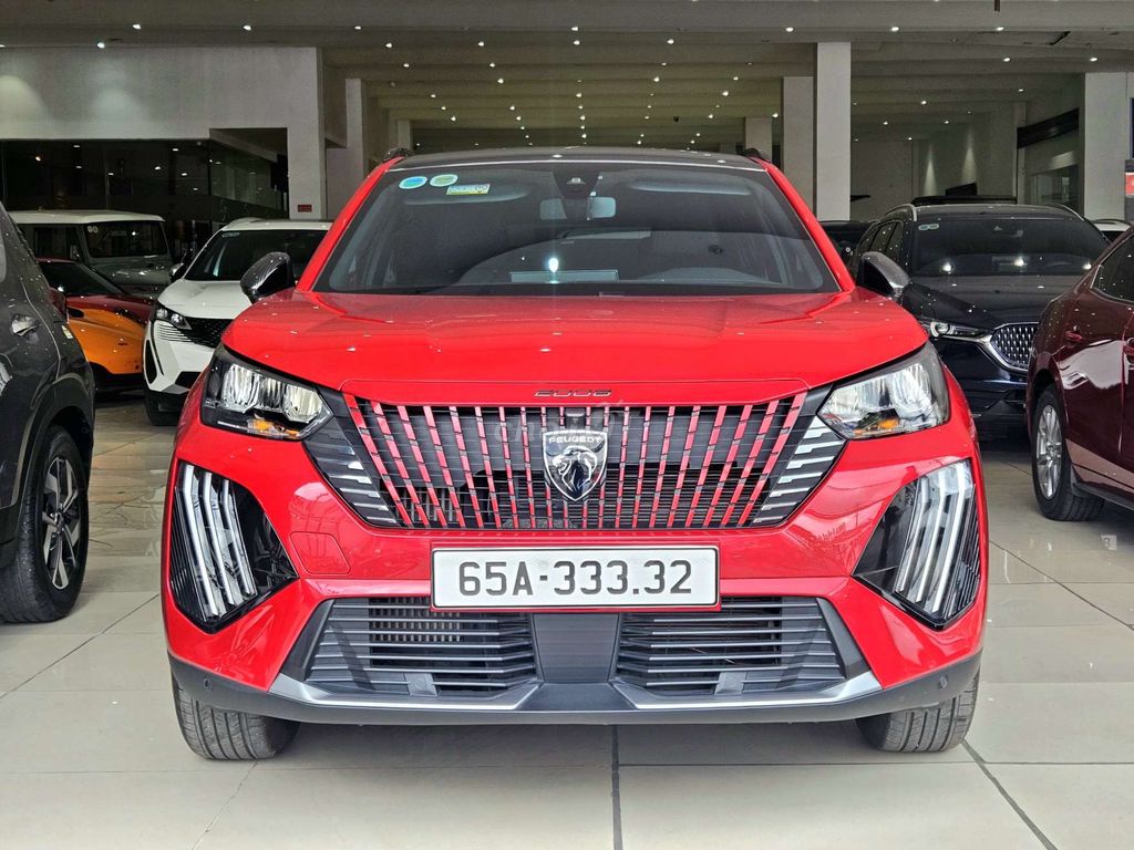 Peugeot 2008 2008 - ảnh 1
