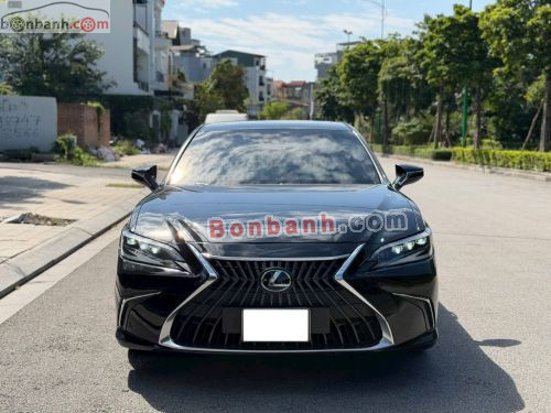 Lexus ES 250 2022 - ảnh 1