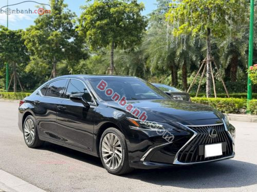Lexus ES 250 2022 - ảnh 2
