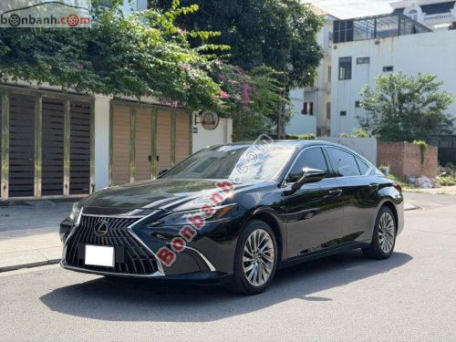 Lexus ES 250 2022 - ảnh 3