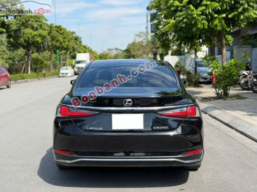 Lexus ES 250 2022 - ảnh 5
