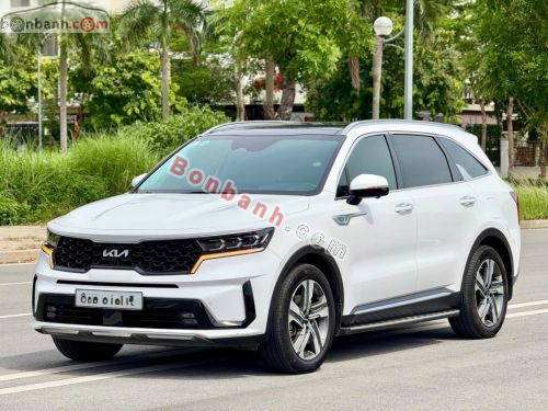 Kia Sorento Signature 2.2 AT AWD 2024 - ảnh 3