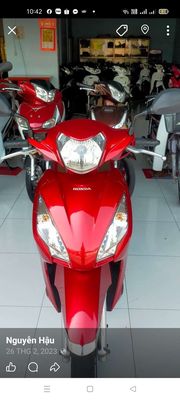 xe Vison 2019 - ảnh 1