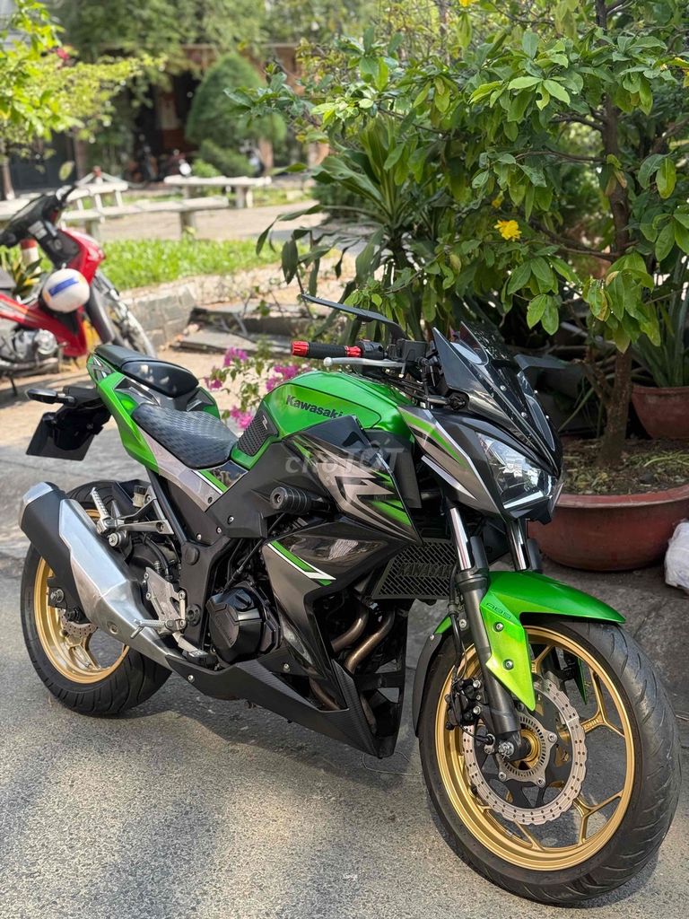 Kawasaki Z 2017 - ảnh 1
