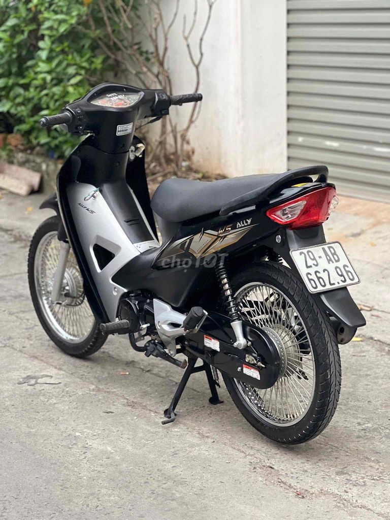 Ally 2024 - ảnh 2