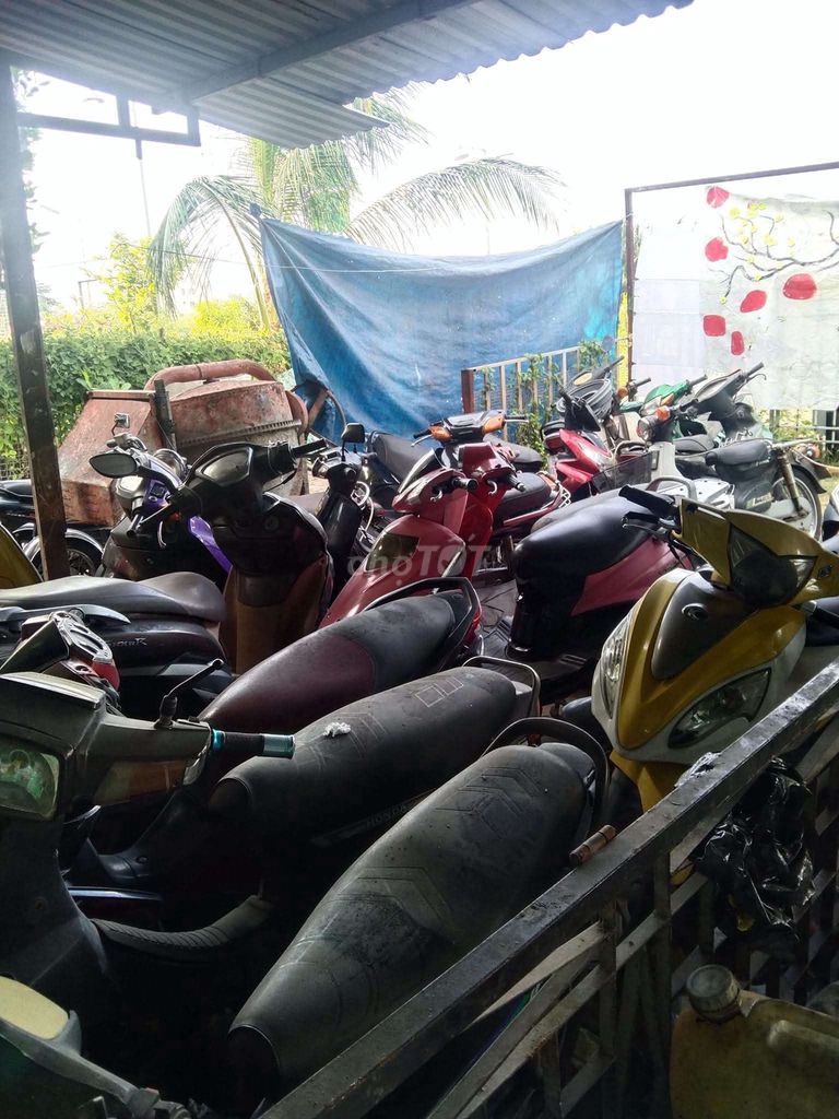 MUA c 2005 - ảnh 1