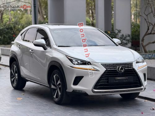 Lexus NX 300 2018 - ảnh 1