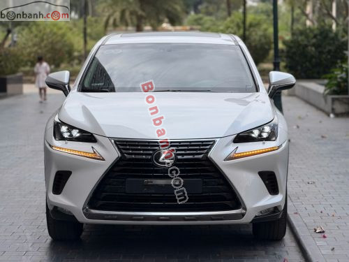 Lexus NX 300 2018 - ảnh 2