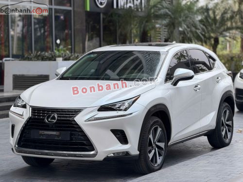Lexus NX 300 2018 - ảnh 3