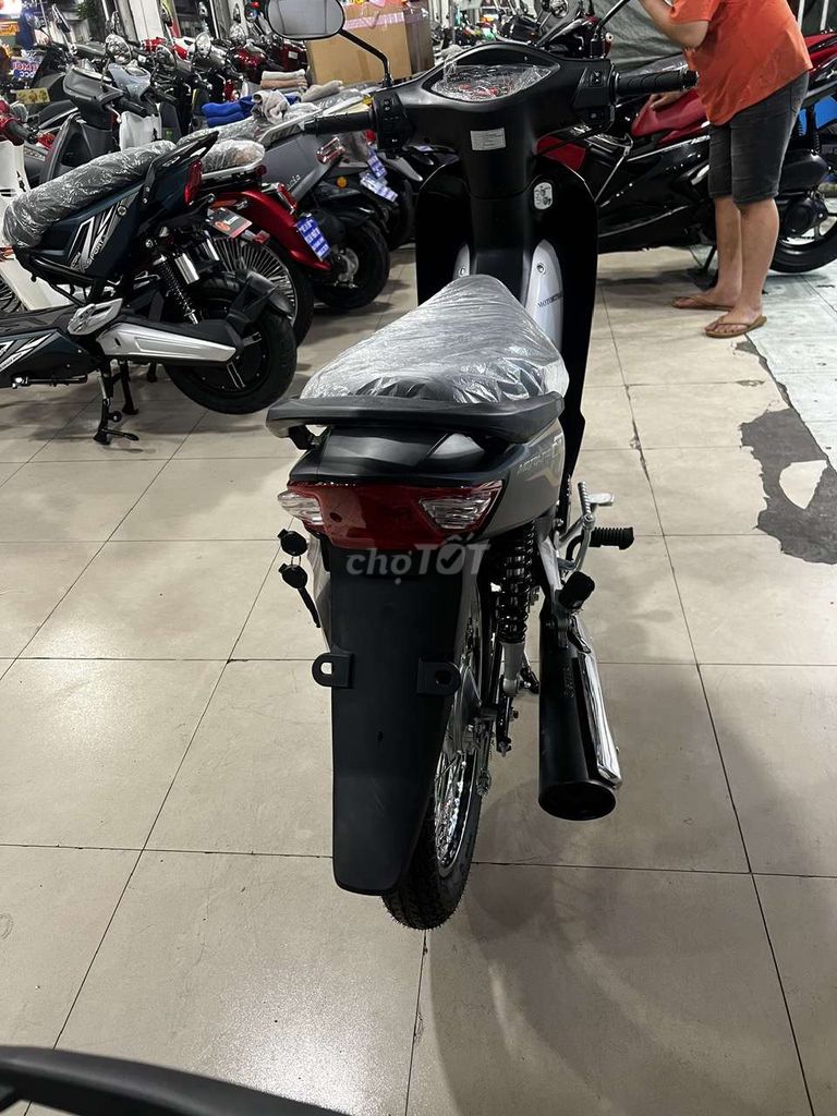xe vawe 2026 - ảnh 4