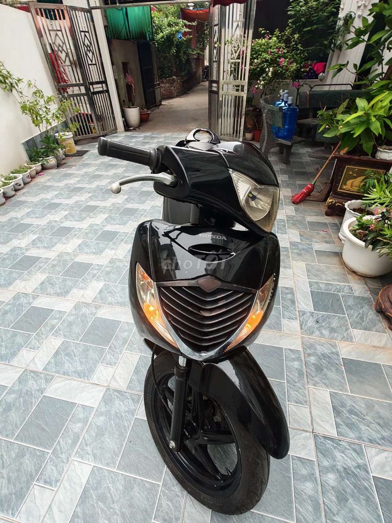 Honda SH 2009 - ảnh 4
