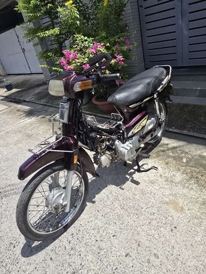 Dream Sanda 2000 - ảnh 1