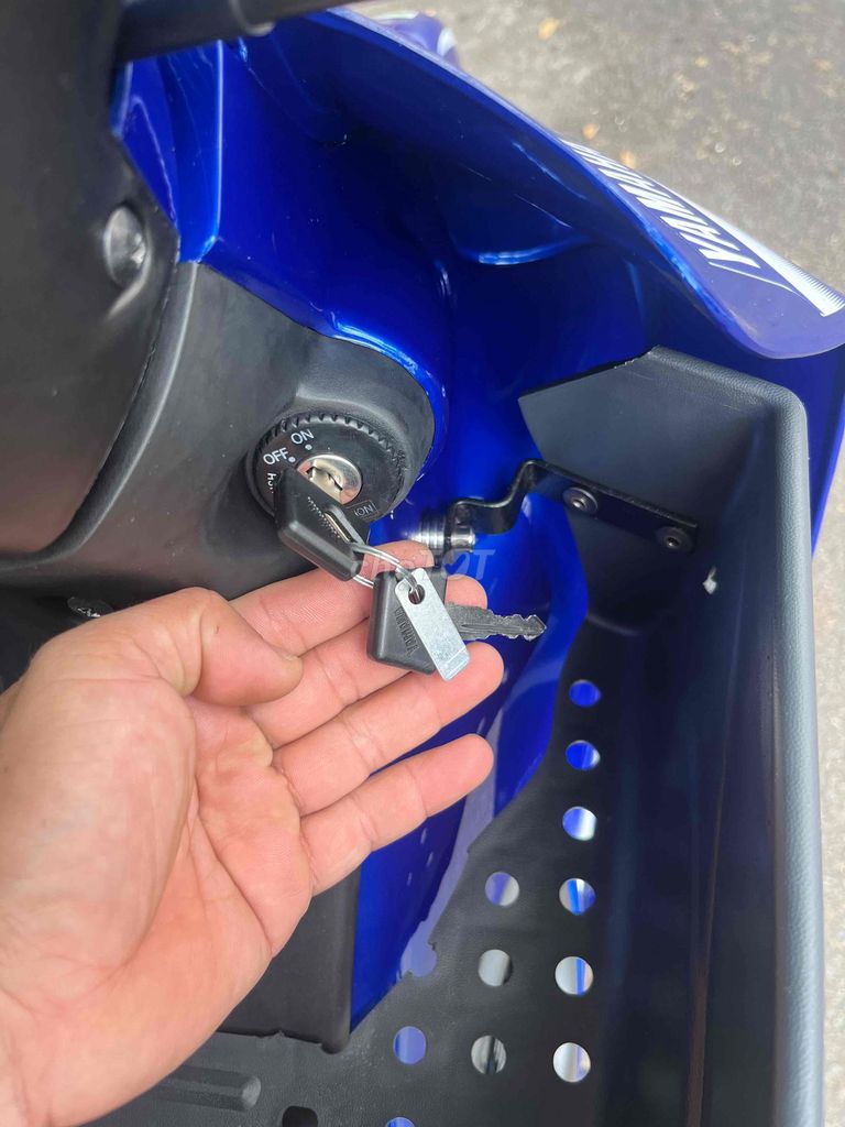 yaz d 2026 - ảnh 5