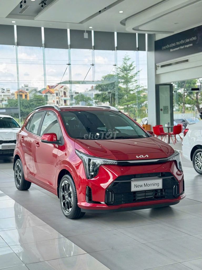 Kia Morning 2025 - ảnh 1