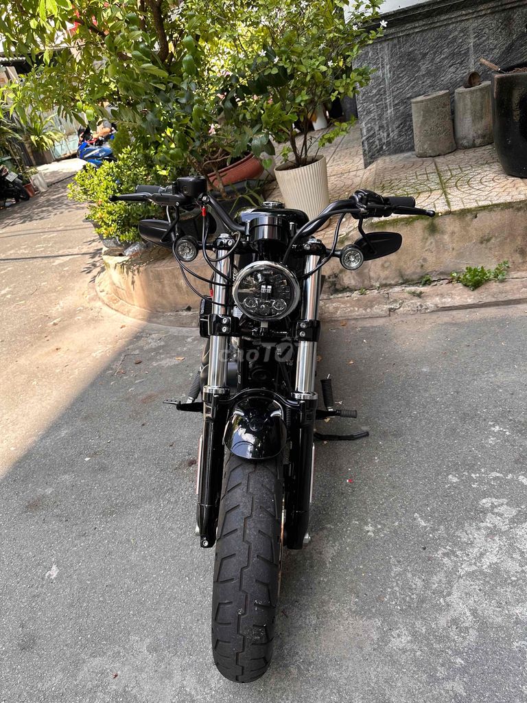 Harley 2021 - ảnh 3