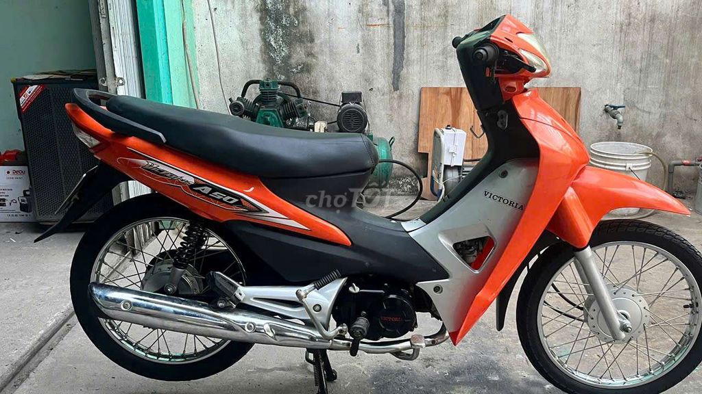 Victoria Wave 2021 - ảnh 2