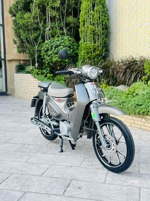 Yalim Cub 2026 - ảnh 1