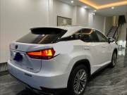 Lexus RX 300 2020 - ảnh 1