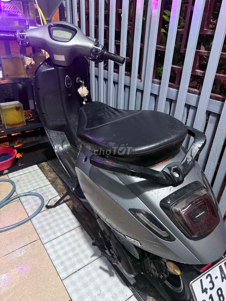 Xe m 2024 - ảnh 1