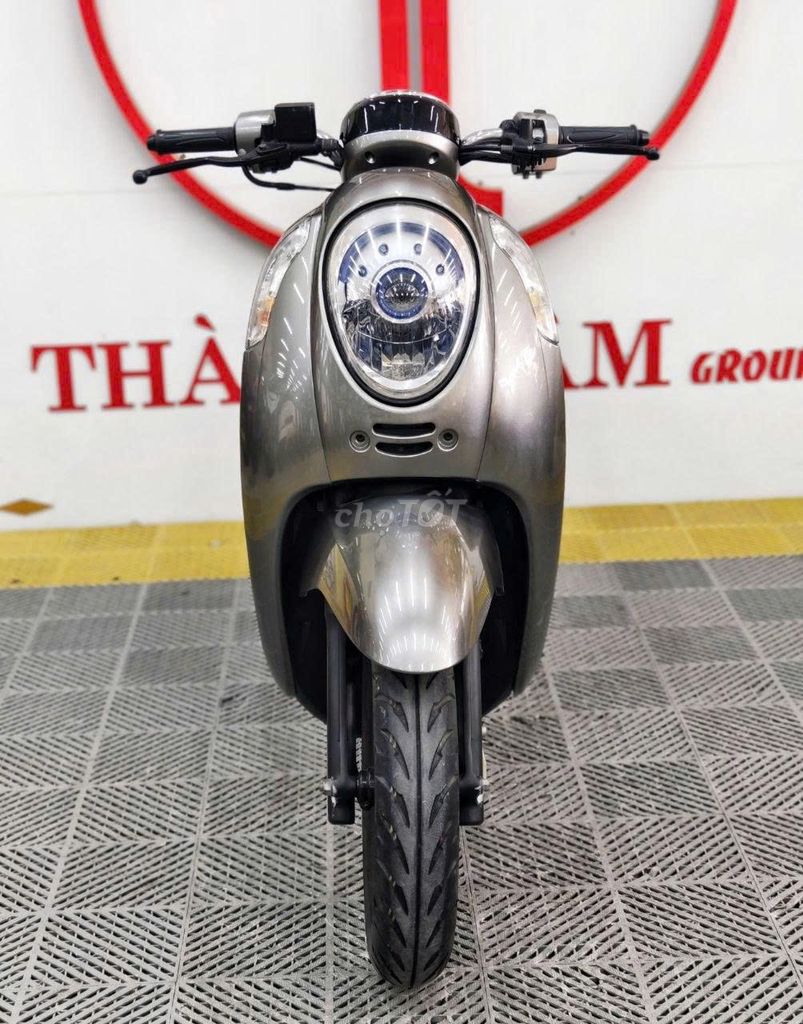 Honda Scoopy 2015 - ảnh 2