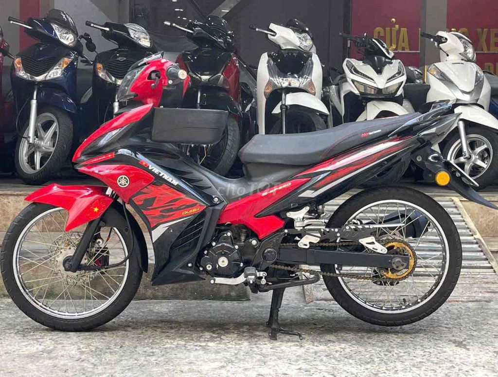 Ex up 2013 - ảnh 4