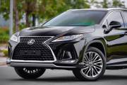 Lexus RX 300 2019 - ảnh 1