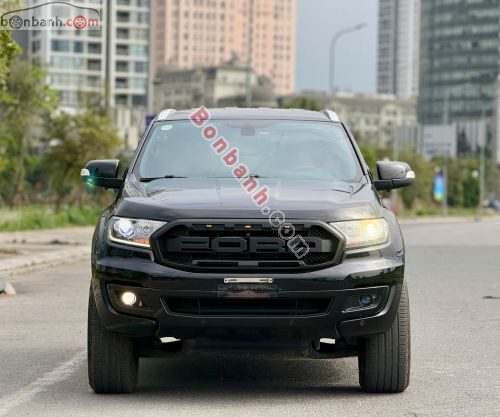 Ford Everest Titanium 2.0L 4x2 AT 2019 - ảnh 2